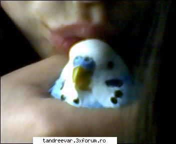 pai am un perus coco =d animalutul nostru :x